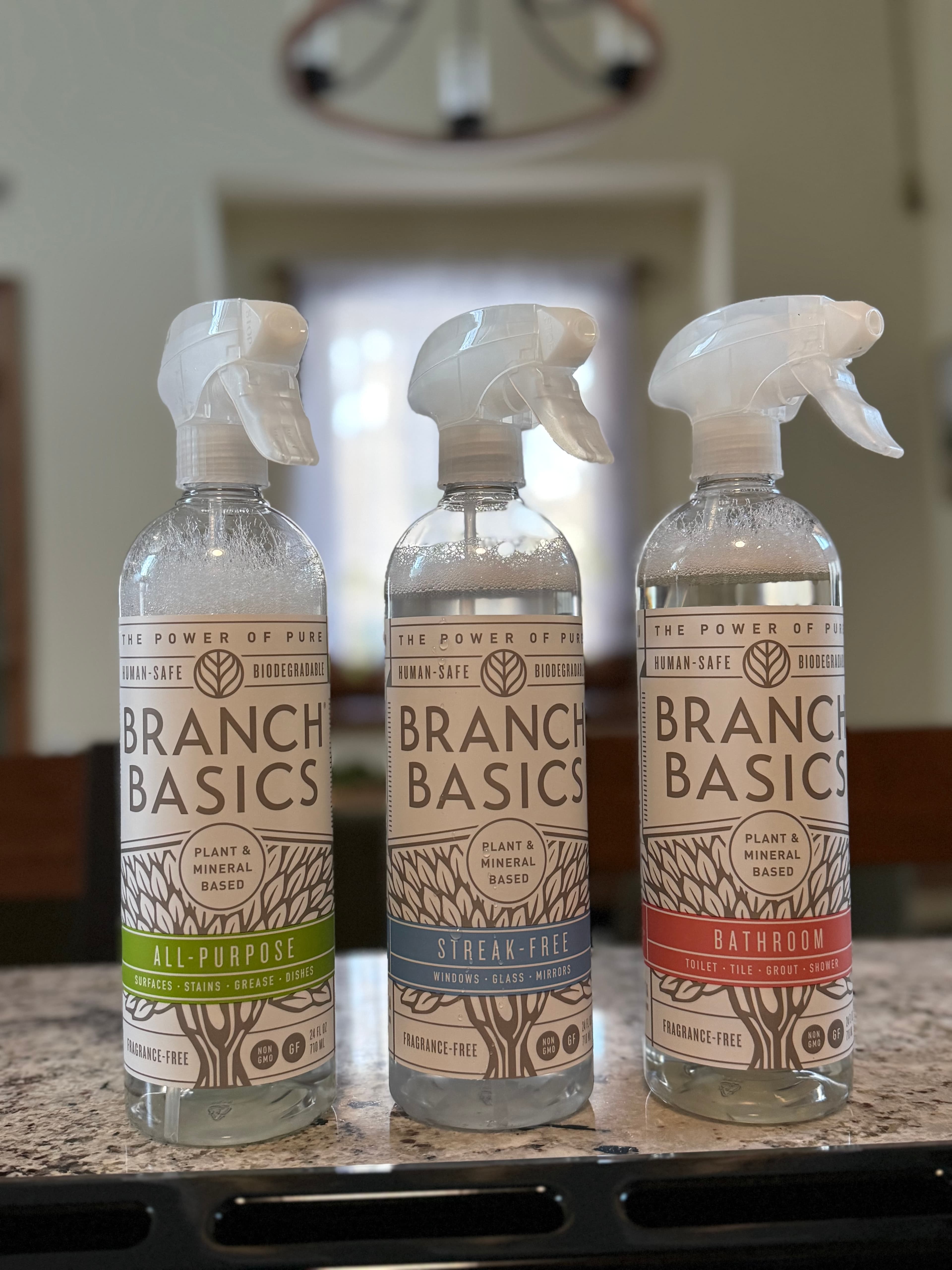 Eco-friendly cleaning supplies